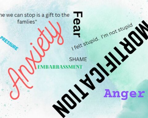 Word Cloud, SHAME, Anxiety, mortification, fear, anger